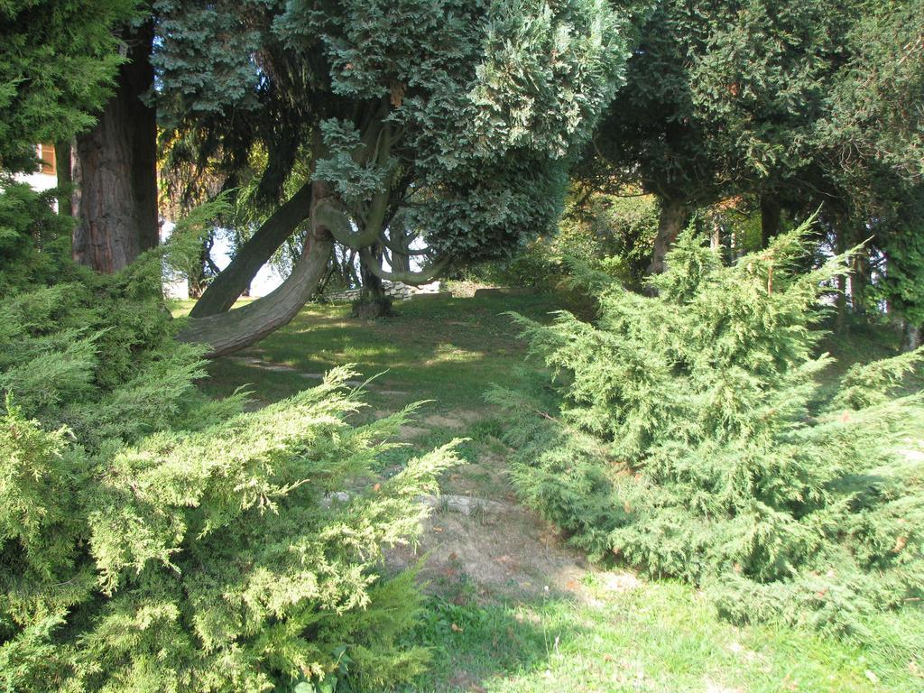 Dvorec Jeruzalem Ivanjkovci Екстериор снимка