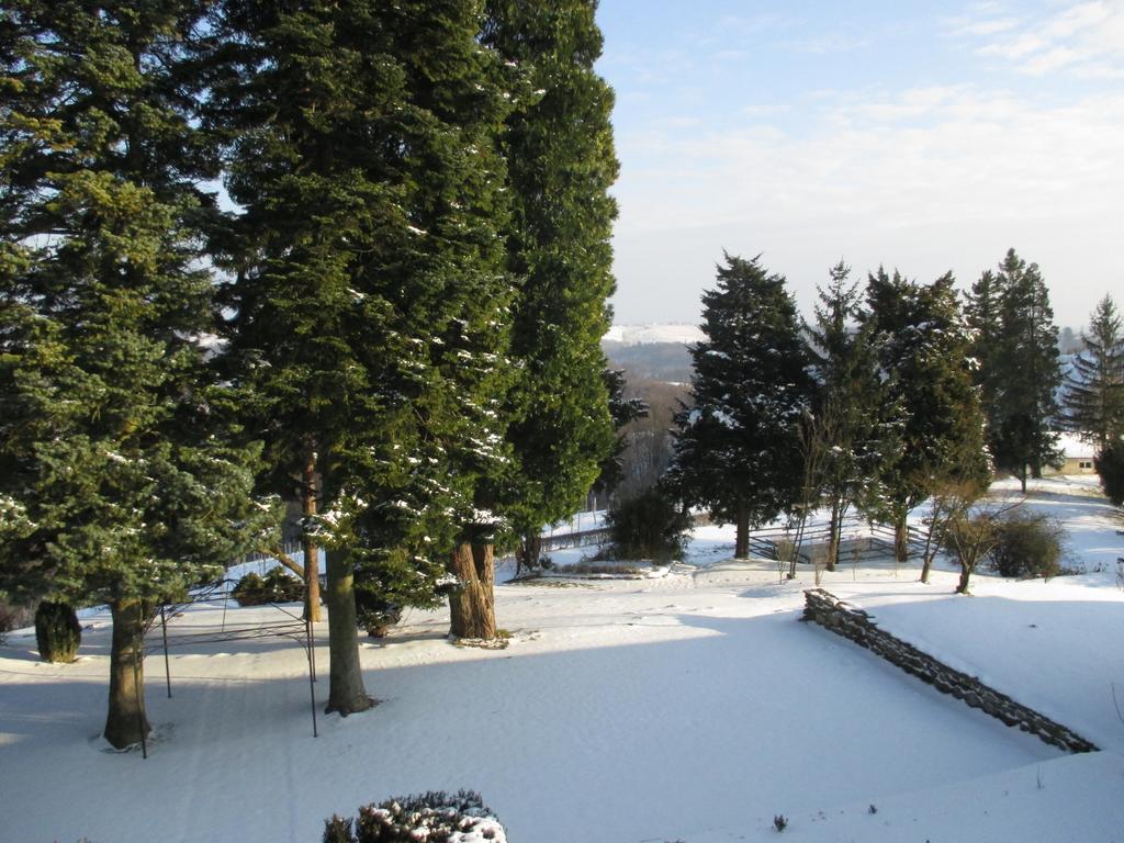 Dvorec Jeruzalem Ivanjkovci Екстериор снимка